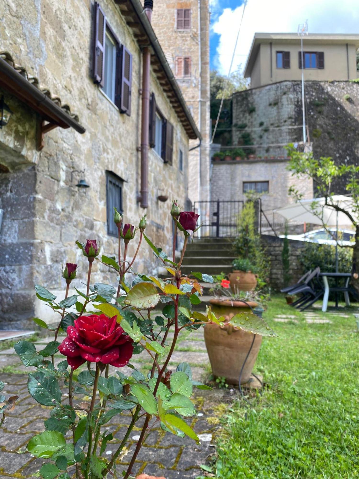 Casa Biscarello - Borgo E Lago Villa Grotte di Castro Exterior foto